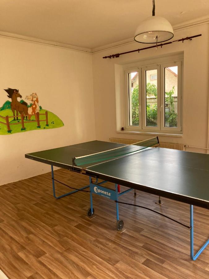 Ostresany Prijemny Apartman Se Zahradou מראה חיצוני תמונה